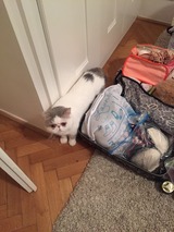 7E218E6A-C386-4E16-8F4A-A8569DF4129B