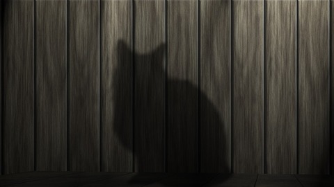 cat-233367_640