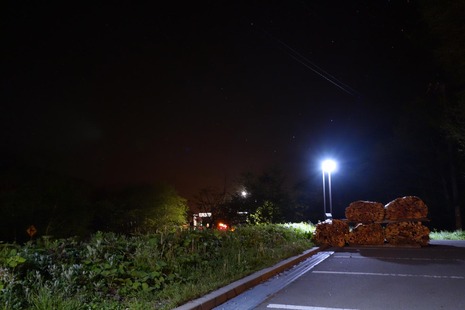 DSC08395e