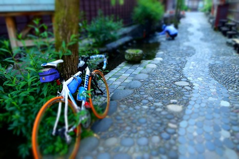 DSC08346e
