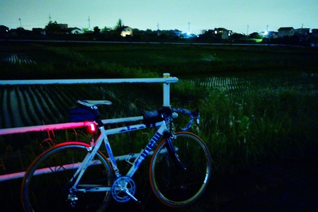 DSC08650e
