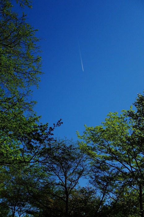 DSC08491e