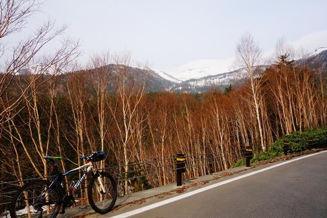 DSC08276c