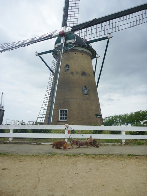 P1050177