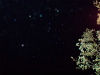 t01000075_0100007512720989380