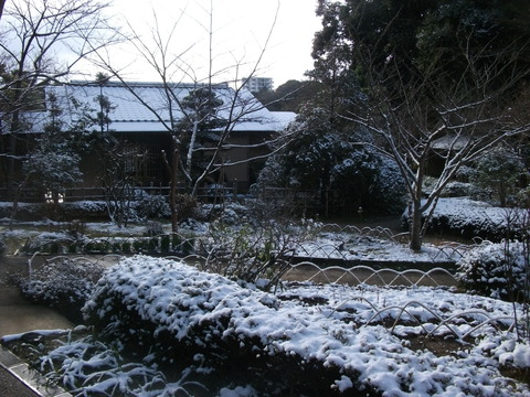 DSCF2270