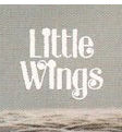 Little Wings