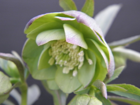 P2210066