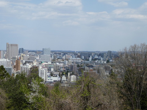 P1010193