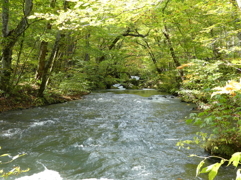P1000261