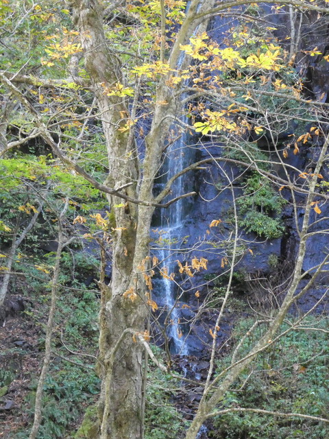 P1000286