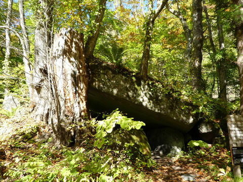 P1000253