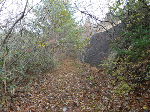 P1000817