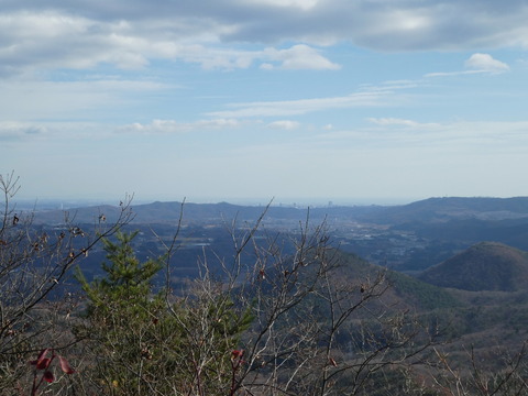 P1000799