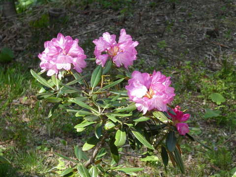 P1010200