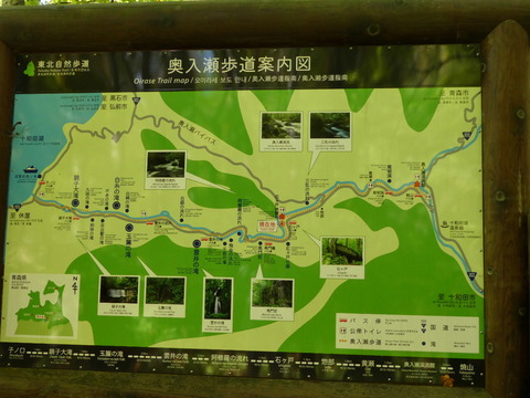 P1000251