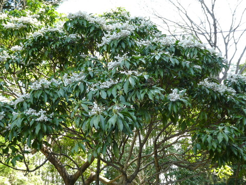 P1010203