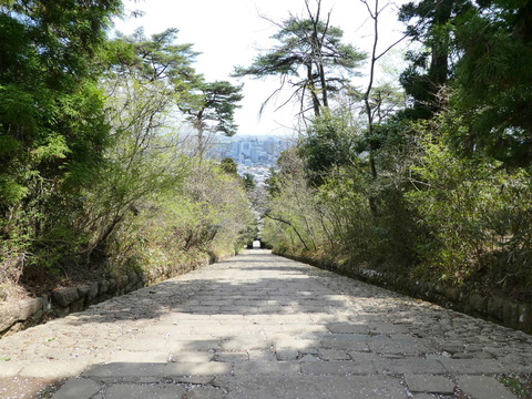 P1010195
