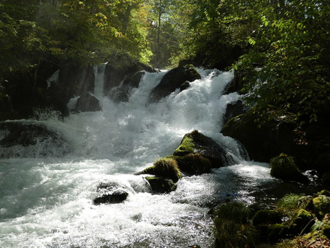 P1000263