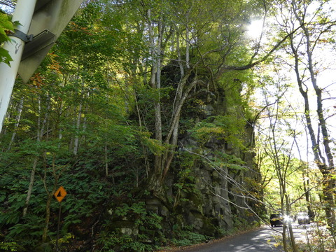 P1000259