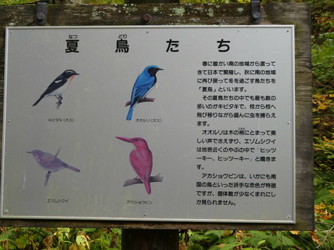 P1000268