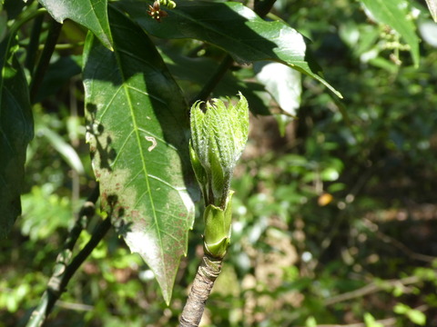 P1010214