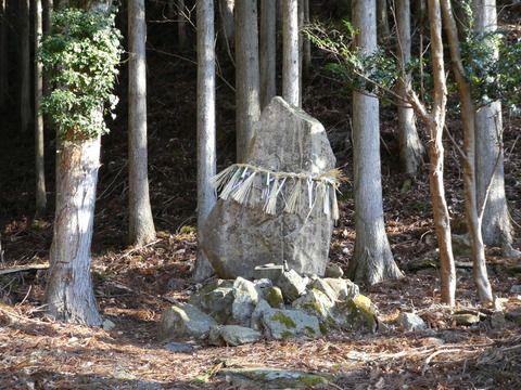 P1000976