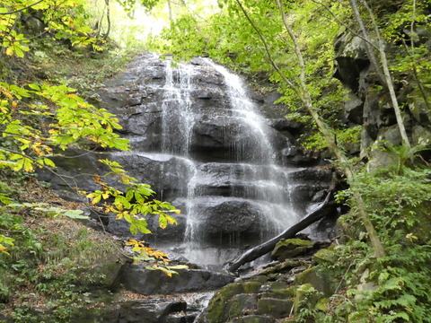 P1000291