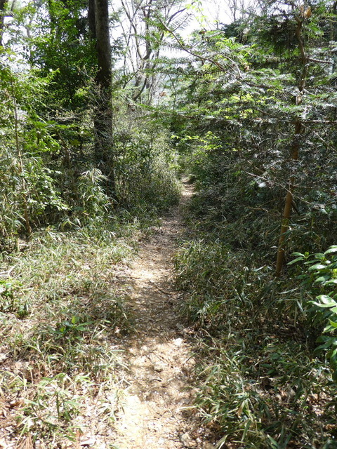 P1010199