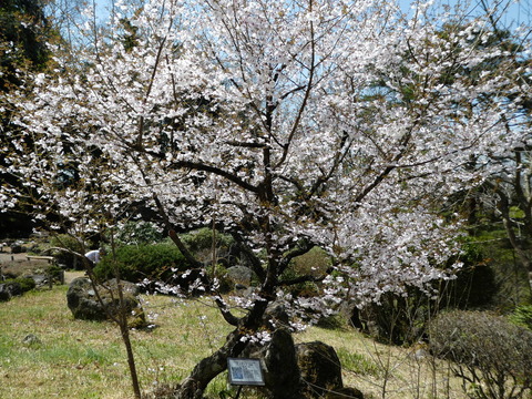 P1010205