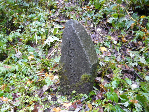 P1120839