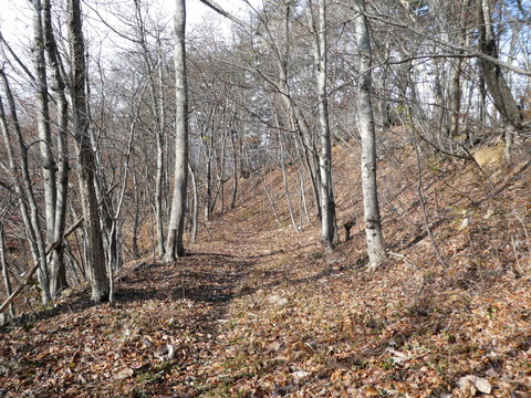 P1000808