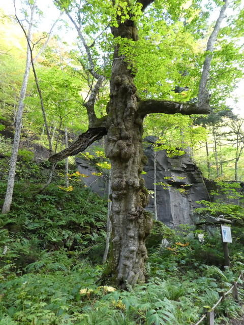 P1000292