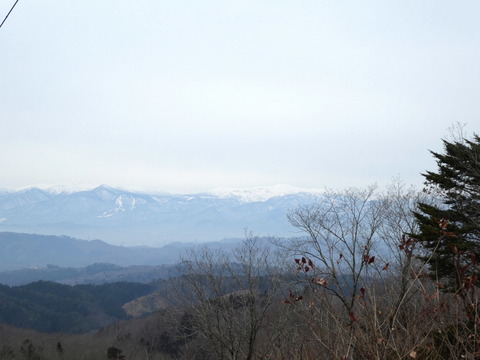 P1010016