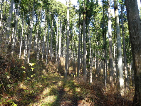 P1000791