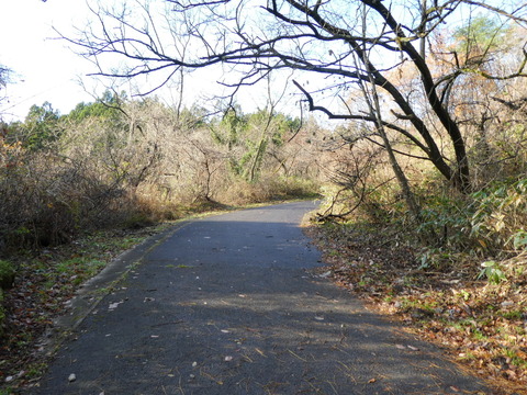 P1000782