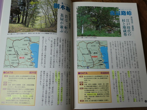 P1020504