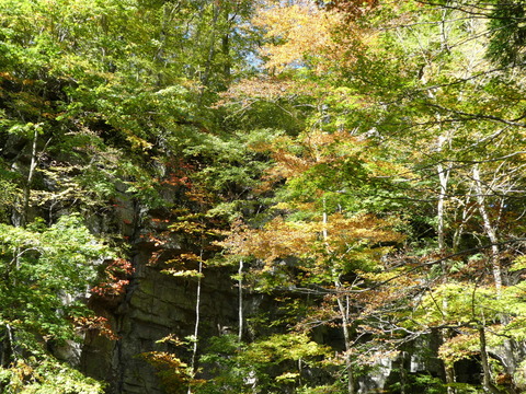 P1000257
