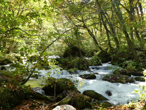 P1000255