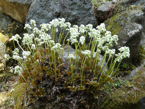 P1010202