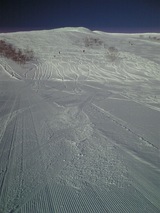 7022b360.jpg