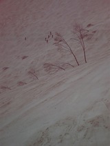 728d629c.jpg