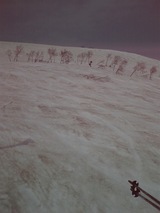 c686b705.jpg