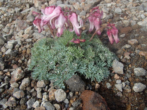 P7200357