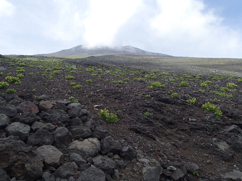 P7260062