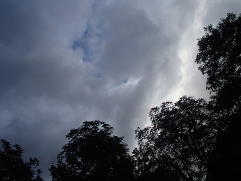 P8260091
