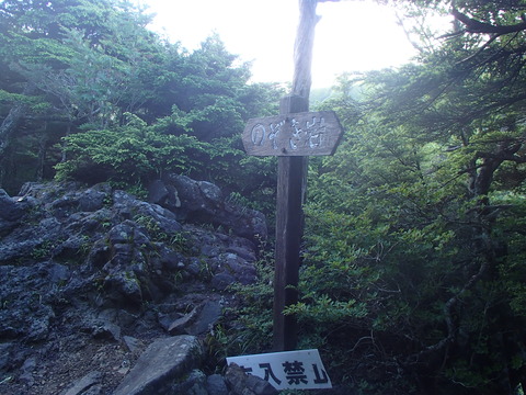 P7200273