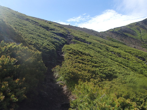 P7200304