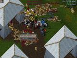 4e4fcedc.jpg