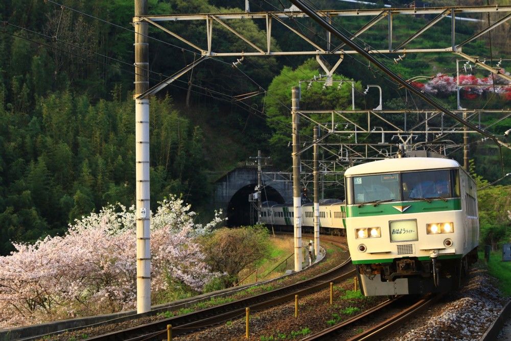 clanaの鉄道撮影地集 185系とLSEと桜